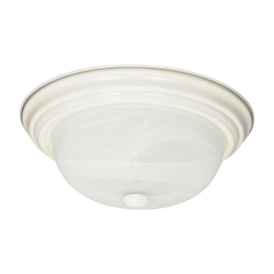 Nuvo 60-221 60 Watt 2 Light LED- 11