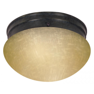 Nuvo 60-2644 60 Watt 2 Light LED - 10