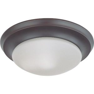 Nuvo 60-3176 60 Watt 2 Light LED - 14