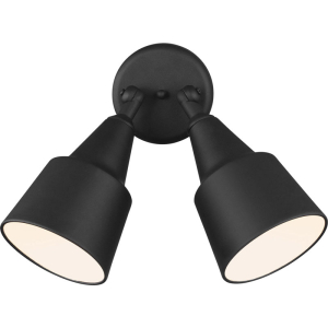 Generation Lighting 8560702 Flood Light 2 Light 12.5
